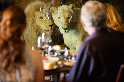 White Lions Dining
 - Jamala Wildlife Lodge