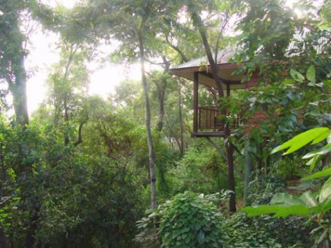 Bungalow exterior - Thala Beach Lodge