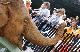B7: Croc Express to Australia Zoo ex Brisbane JPT Tours - Australian Day Tours - Photo 6