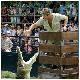 B7: Croc Express to Australia Zoo ex Brisbane JPT Tours - Australian Day Tours - Photo 4