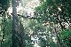 G33 - O'Reillys and Mt Tamborine - ex Gold Coast JPT Tours - Australian Day Tours - Photo 3