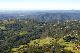 B33 - O'Reillys & Lamington National Park - ex Brisbane JPT Tours - Australian Day Tours - Photo 1