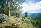 B33 - O'Reillys & Lamington National Park - ex Brisbane JPT Tours - Australian Day Tours - Photo 2