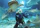 B11 - Sunshine Coast and Noosa - ex Brisbane JPT Tours - Australian Day Tours - Photo 2