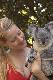 Great Australian Wildlife Experience - ex Northern Beaches Cairns Tropical Zoo - Photo 5