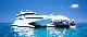Great Barrier Reef Adventure - Family ex Airlie Beach Cruise Whitsundays - Photo 1