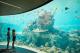 Underwater Observatory
 - Daydream Island Resort
