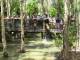Hartley's Crocodile Adventures - Afternoon Hartleys Crocodile Adventure - HCPM ex CNS- Family Down Under Tours Australia