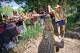Crocodile Adventures - Kuranda & Hartley's Croc Park - KHC ex Northern Beaches Down Under Tours Australia