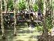 Kuranda & Hartley's Croc Park - KHC ex Northern Beaches Down Under Tours Australia - Photo 2