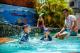 Outdoor Swimming Pool
 - Hides Hotel Cairns