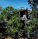 Fraser Island Beauty Spots Tour ex Kingfisher Bay Resort Kingfisher Bay Resort - Photo 7