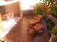 L'Auberge Apartments Noosa - Photo 3