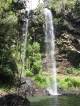 Springbrook - Platinum Experience Rainforest Tour Mountain Trek Adventures