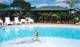 Pool - Palms City Resort