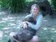 Girl and Wombat - Australia Zoo Full Day Tour ex Gold Coast Q Tour Australia