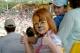 Tiger Face - Australia Zoo Full Day Tour ex Gold Coast Q Tour Australia