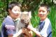 Chinese boys and Koala - Australia Zoo Full Day Tour ex Gold Coast Q Tour Australia