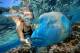 Snorkelling - Outer Reef Full Day Cruise-Snorkel- Ex Marlin Jetty-Family Reef Magic Cruises