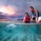 Dolphin Feeding - Desert Safari Tour Tangalooma Island Resort