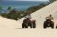 ATV Quad Bikes - Desert Safari Tour Tangalooma Island Resort