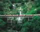 Scenic Rail - Rainforestation Nature Experience with Coach - ex Cairns Tropic Wings Coach Tours