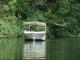 Our Eco Certified Daintree River Cruise - Waterfalls, Wildlife & Paronella Park - Family ex Cairns Tropical Horizons