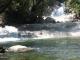 Swiiming On Tour 9 at Josephine Falls - Waterfalls, Wildlife & Paronella Park - Family ex Cairns Tropical Horizons