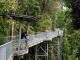 Ma Mu Canopy Walk and Tower Tour 9 - Waterfalls, Wildlife & Paronella Park - Family ex Cairns Tropical Horizons
