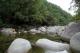 Mossman Gorge - Waterfalls, Wildlife & Paronella Park - Family ex Cairns Tropical Horizons