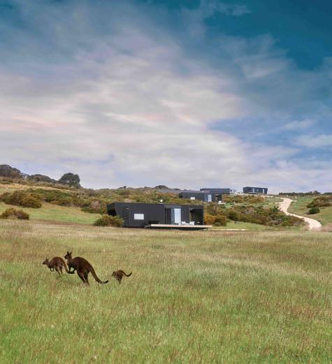 Cabins and kangaroos, CABN KI
 - CABN X Kangaroo Island