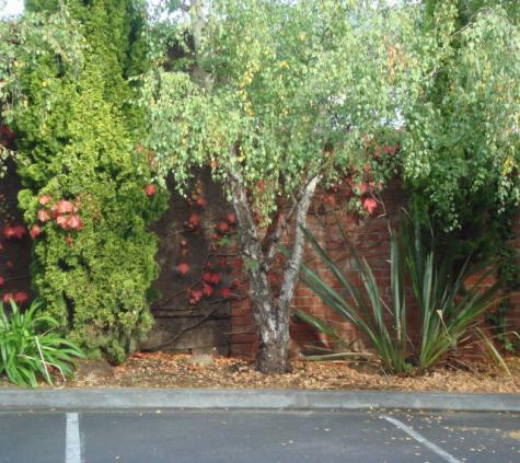 Exterior - Gardens
 - Grosvenor Court Apartments