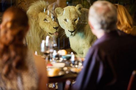 White Lions Dining - Jamala Wildlife Lodge