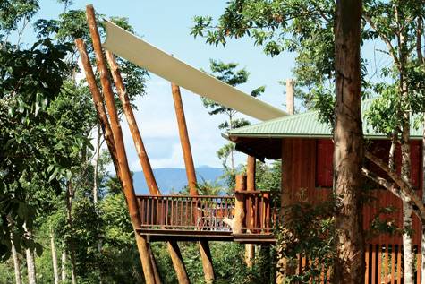 Exterior
- Rose Gums Wilderness Retreat
