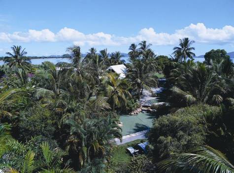 Seagulls Resort
- Seahaven Resort