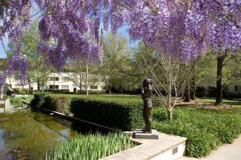 University House Garden - University House ANU