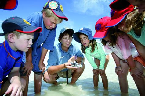 Children's Activities
 - Heron Island Resort