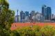 Sydney City Centre Accommodation, Hotels and Apartments - Metro Aspire Hotel Sydney