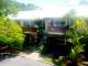 Apartments
 - At The Mango Tree