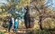 Bottle Tree on Mt Abundance, Queensland
 - Roma Railway Station to Roma Accomm- SIC - Return - Senior Boobook Explore