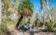 Cycad grove, Carnarvon Ranges, Queensland
 - Roma Railway Station to Roma Accomm- SIC - Return - Senior Boobook Explore