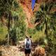 Echidna Chasm Guided Walk - Cathedral Gorge & Domes Guided Walk Bungle Bungle Guided Tours