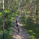 Biosphere Trail eMTB 2
 - Fat Wheel eBike Beach Ride - Noosa North Shore By Earth and Ocean