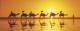 Camels at Sunset - Cable Beach Club Resort & Spa