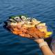Seafood platter upgrade - Sunset Cruise Coastal Cruises Mooloolaba