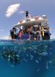 Boat  - Evolution Outer Reef Cruise - ex NBC Hotel Down Under Cruise and Dive