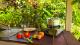 Garden Loft Plus Kitchenette - Ferntree Rainforest Lodge