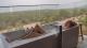 Sunset Bath on deck
 - Gilberton Outback Retreat