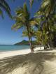Catseye Beach
 - Hamilton Island Beach Club