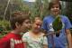 Hartleys Magic
 - General Admission - Self -Drive Hartleys Crocodile Adventures